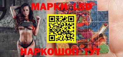 амф Сланцы
