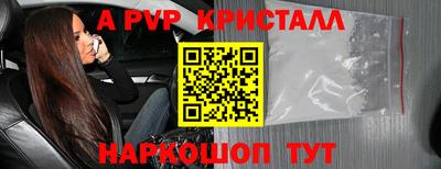 амф Сланцы